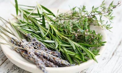 Ierburile aromatice – utilizări şi beneficii