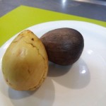 sambure-avocado-450x600